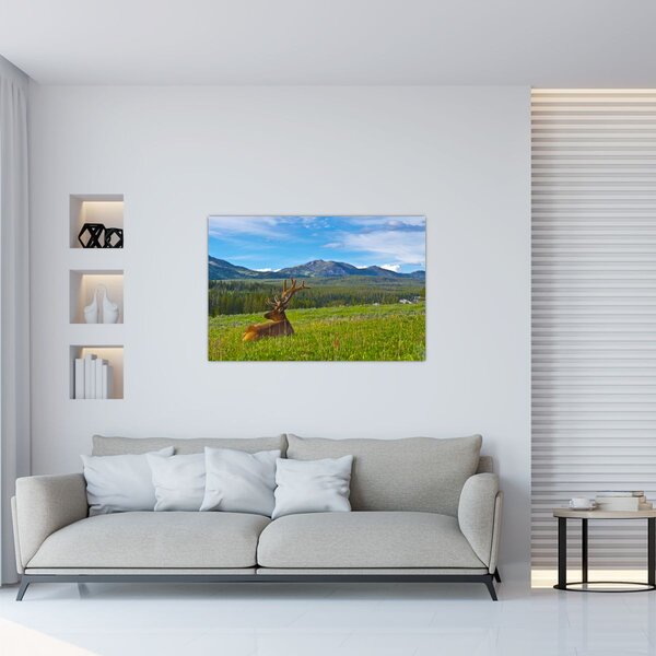 Slika - Jelen na livadi (90x60 cm)