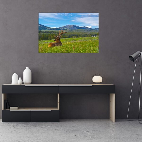 Slika - Jelen na livadi (90x60 cm)