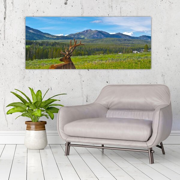 Slika - Jelen na livadi (120x50 cm)