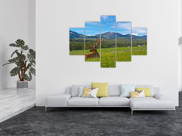 Slika - Jelen na livadi (150x105 cm)
