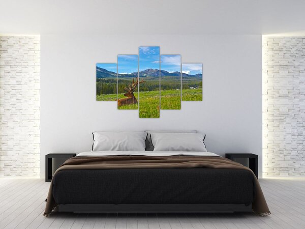 Slika - Jelen na livadi (150x105 cm)