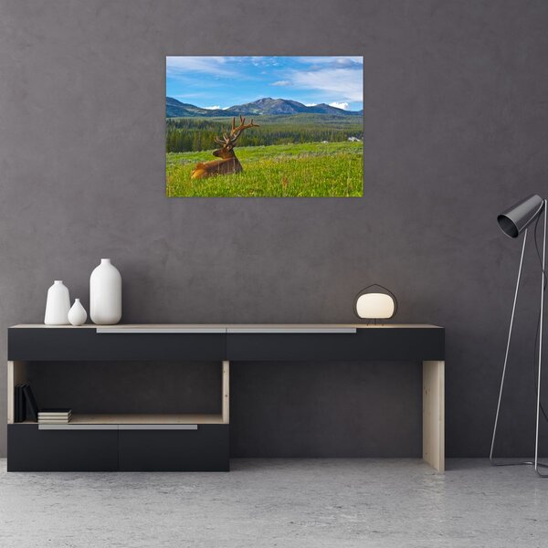 Slika - Jelen na livadi (70x50 cm)