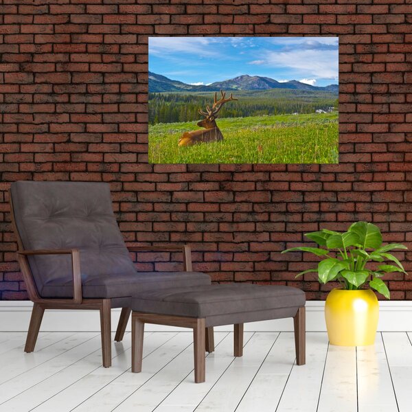 Slika - Jelen na livadi (90x60 cm)