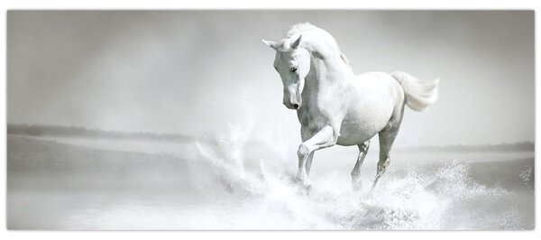 Slika - Bijeli konj (120x50 cm)