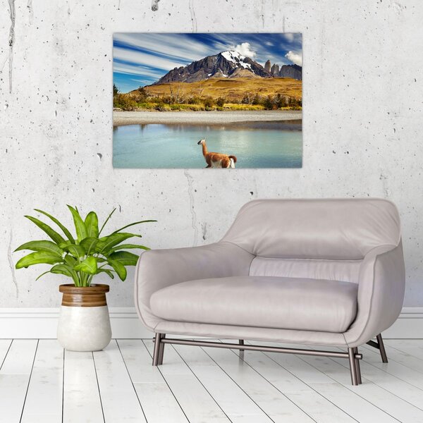 Slika - Nacionalni park Torres del Paine (70x50 cm)