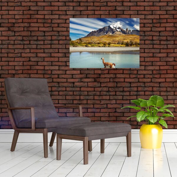 Slika - Nacionalni park Torres del Paine (70x50 cm)