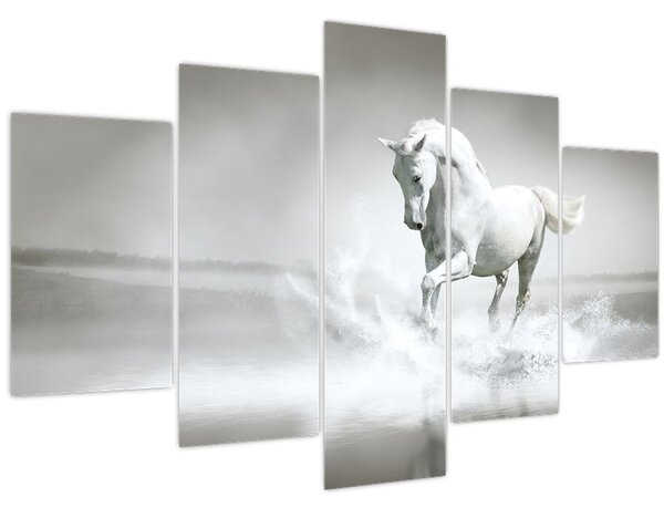 Slika - Bijeli konj (150x105 cm)