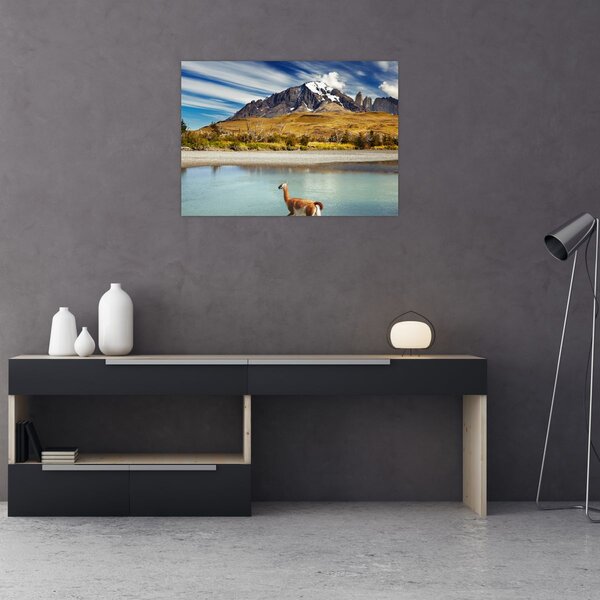 Slika - Nacionalni park Torres del Paine (70x50 cm)