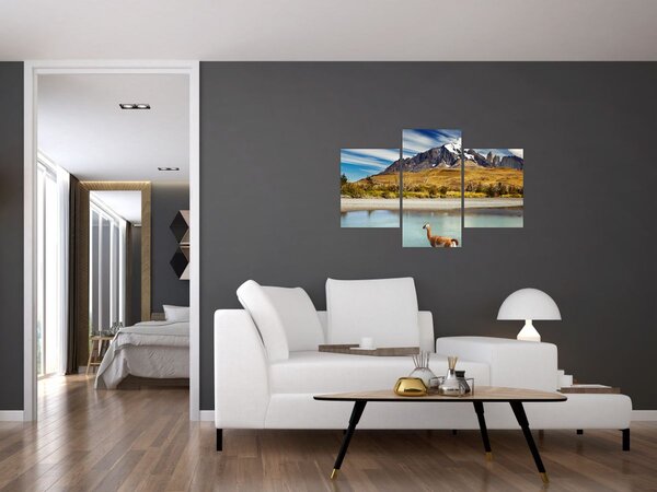 Slika - Nacionalni park Torres del Paine (90x60 cm)