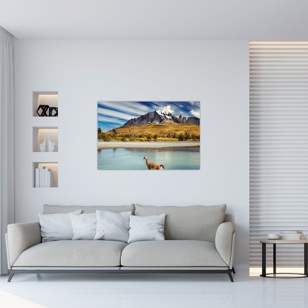 Slika - Nacionalni park Torres del Paine (90x60 cm)