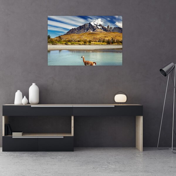 Slika - Nacionalni park Torres del Paine (90x60 cm)