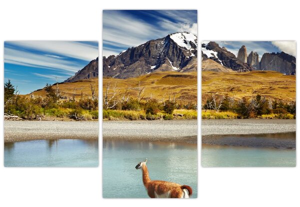 Slika - Nacionalni park Torres del Paine (90x60 cm)