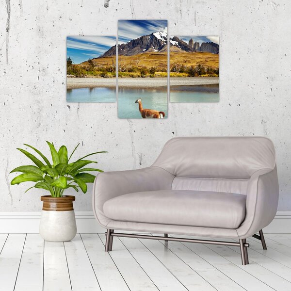 Slika - Nacionalni park Torres del Paine (90x60 cm)