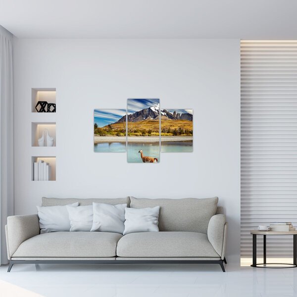 Slika - Nacionalni park Torres del Paine (90x60 cm)