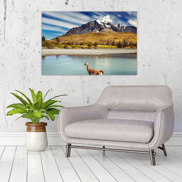 Slika - Nacionalni park Torres del Paine (90x60 cm)