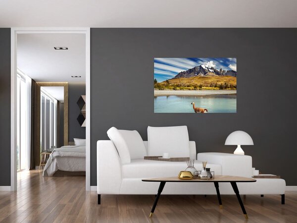 Slika - Nacionalni park Torres del Paine (90x60 cm)