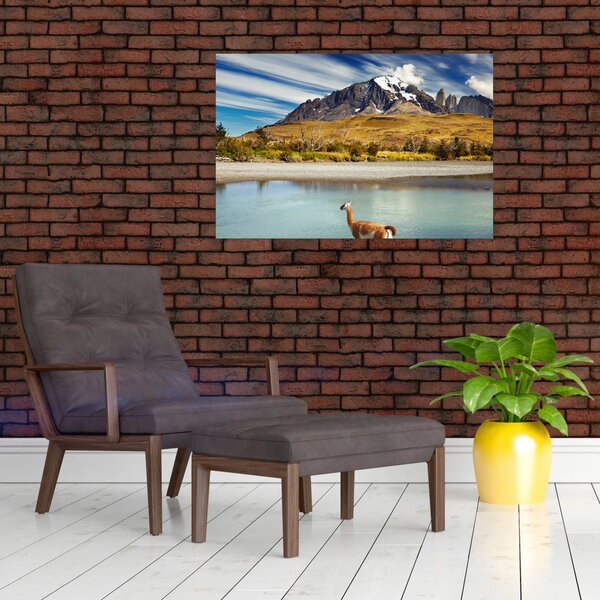 Slika - Nacionalni park Torres del Paine (90x60 cm)