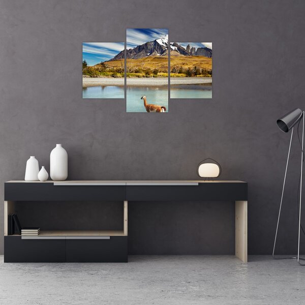 Slika - Nacionalni park Torres del Paine (90x60 cm)