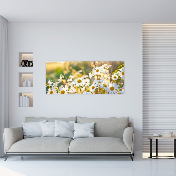 Slika - Tratinčice (120x50 cm)