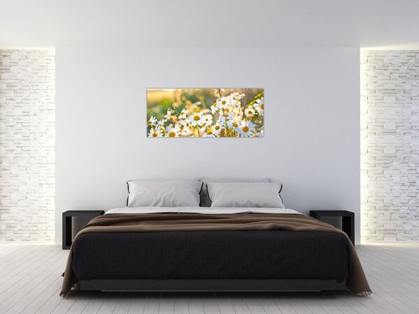 Slika - Tratinčice (120x50 cm)