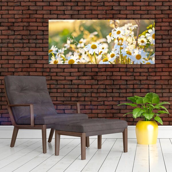 Slika - Tratinčice (120x50 cm)