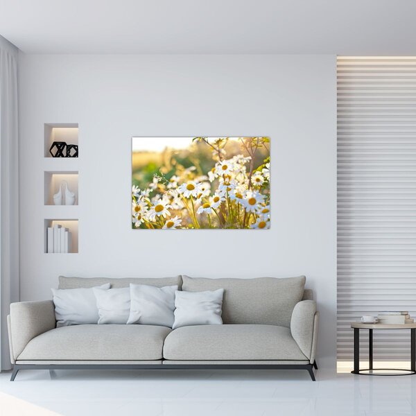 Slika - Tratinčice (90x60 cm)