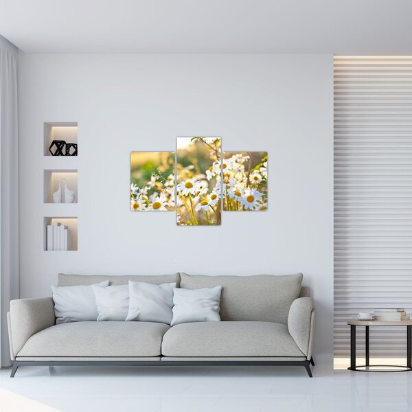 Slika - Tratinčice (90x60 cm)