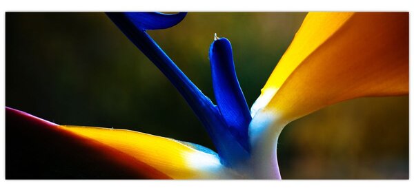 Slika - Egzotični cvijet (120x50 cm)