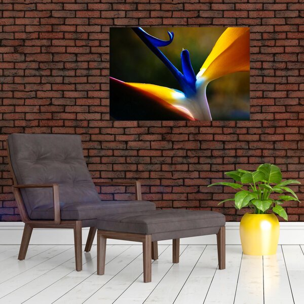 Slika - Egzotični cvijet (90x60 cm)