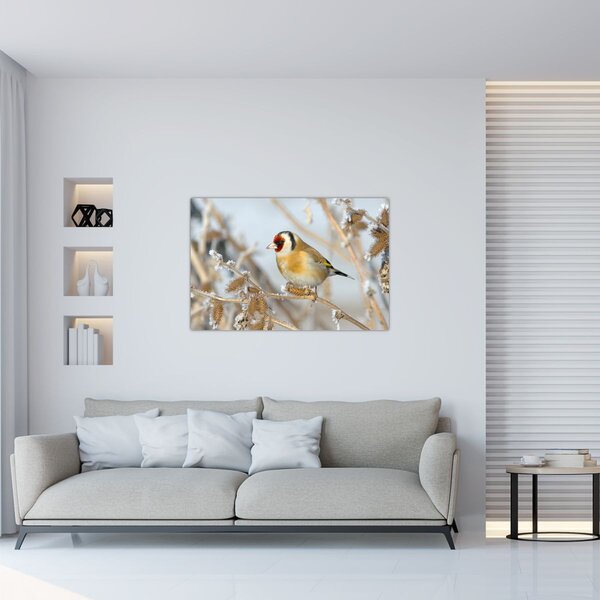 Slika - Češljugar (90x60 cm)