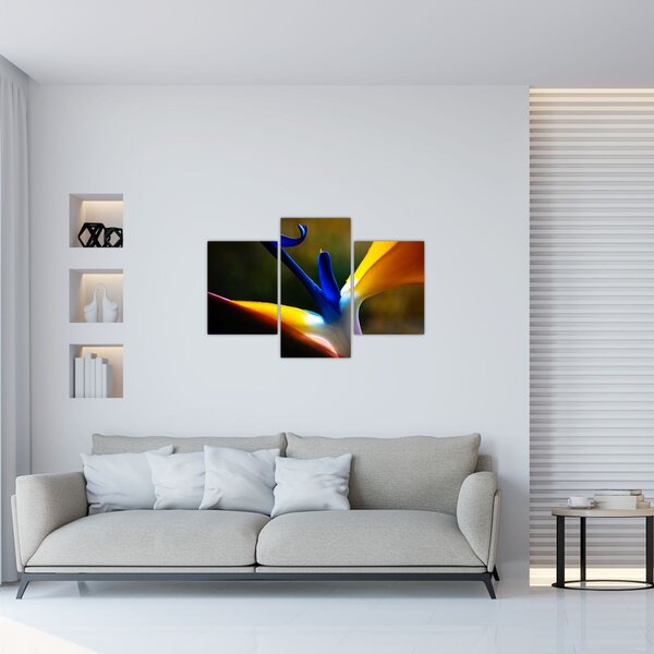 Slika - Egzotični cvijet (90x60 cm)