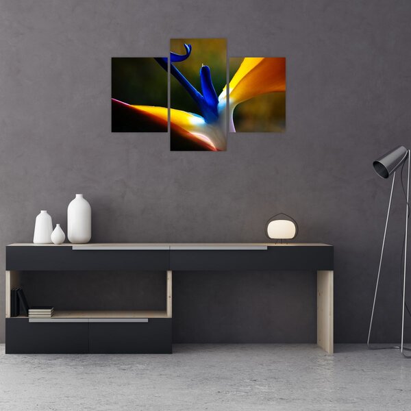Slika - Egzotični cvijet (90x60 cm)