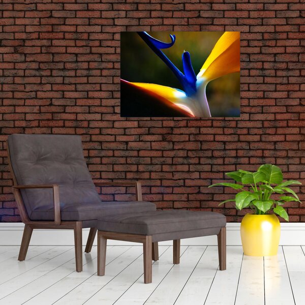 Slika - Egzotični cvijet (70x50 cm)