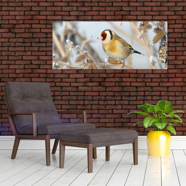 Slika - Češljugar (120x50 cm)