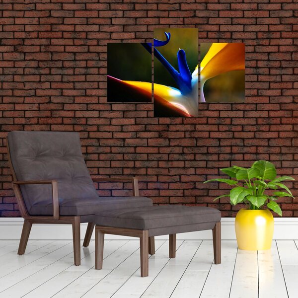 Slika - Egzotični cvijet (90x60 cm)