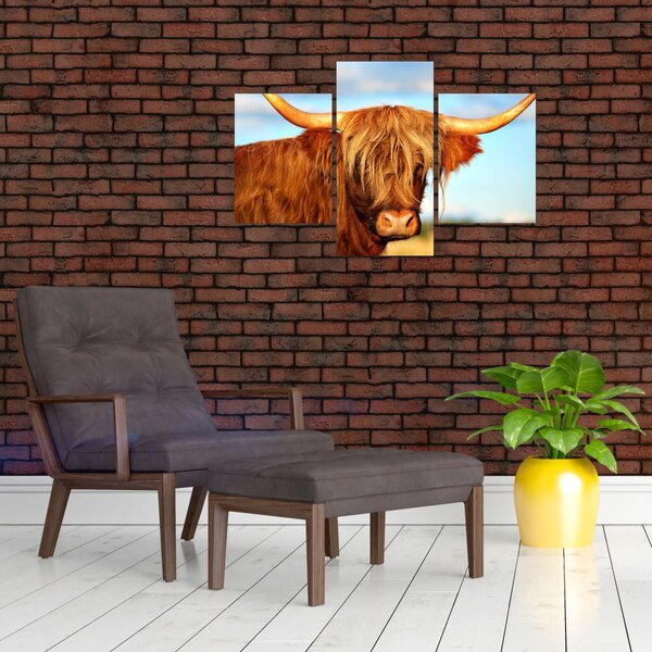 Slika - Škotska krava (90x60 cm)
