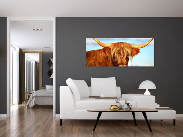 Slika - Škotska krava (120x50 cm)