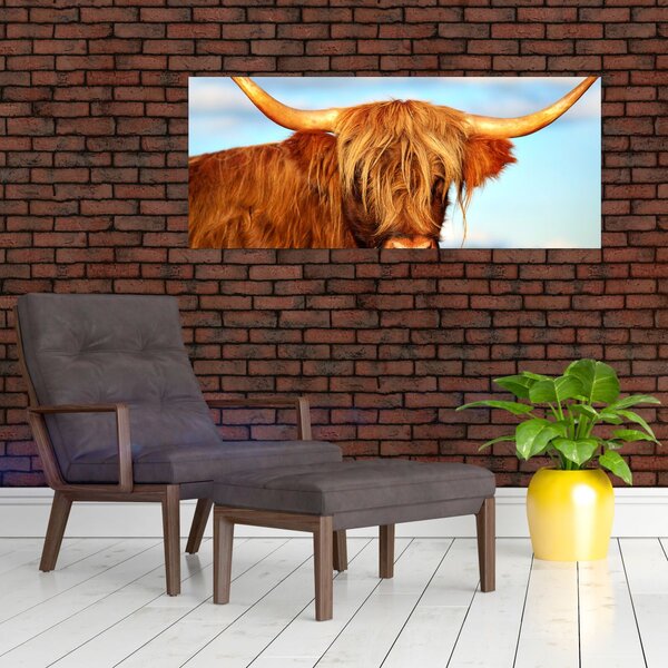 Slika - Škotska krava (120x50 cm)