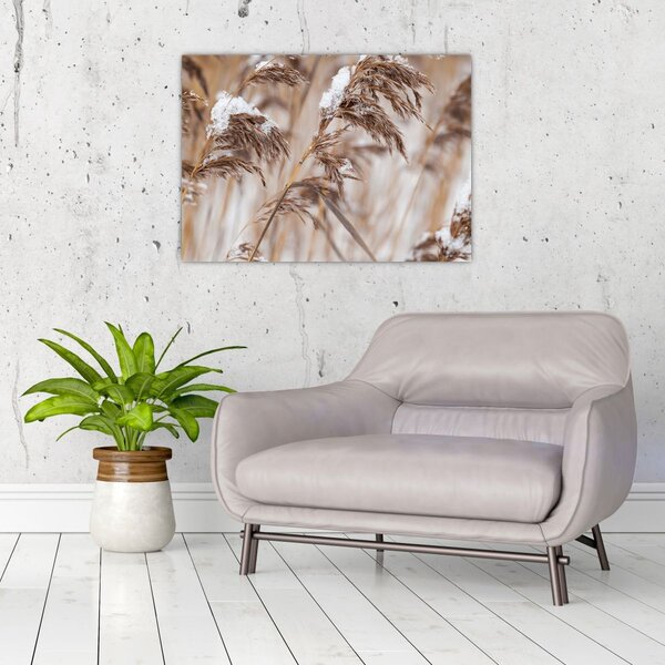 Slika - Lipnice (70x50 cm)