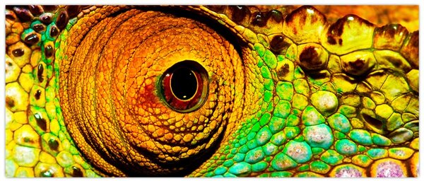 Slika - Kameleon (120x50 cm)