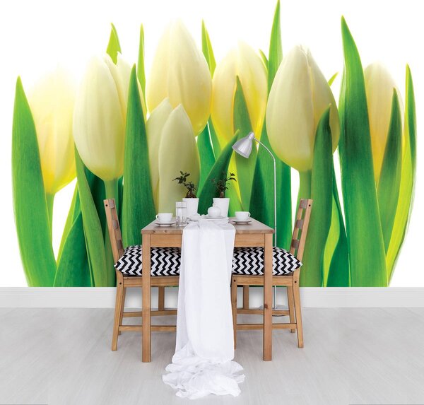 Foto tapeta - Cvjetna umjetnost - apstrakcija (152,5x104 cm)