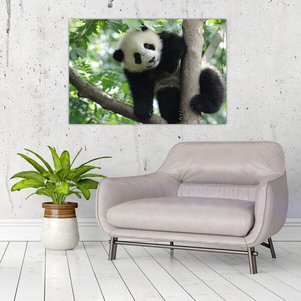 Slika - Panda na drvetu (90x60 cm)