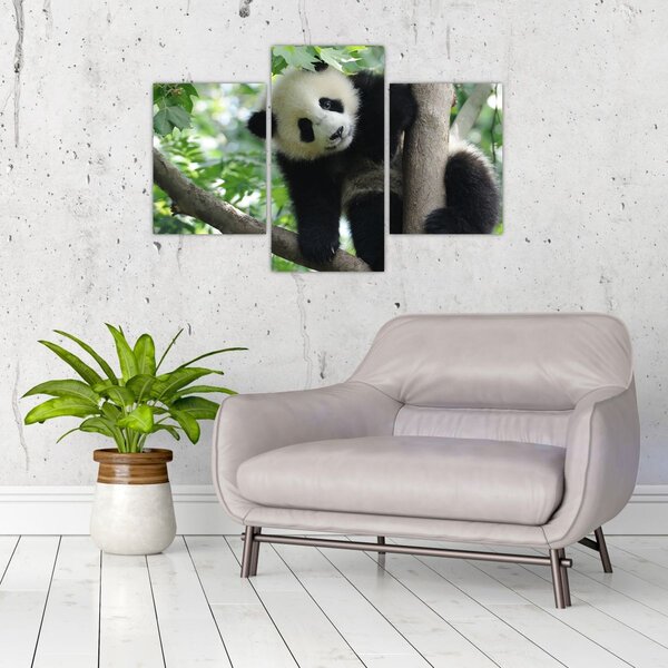 Slika - Panda na drvetu (90x60 cm)