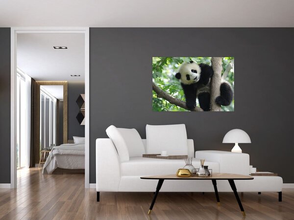 Slika - Panda na drvetu (90x60 cm)