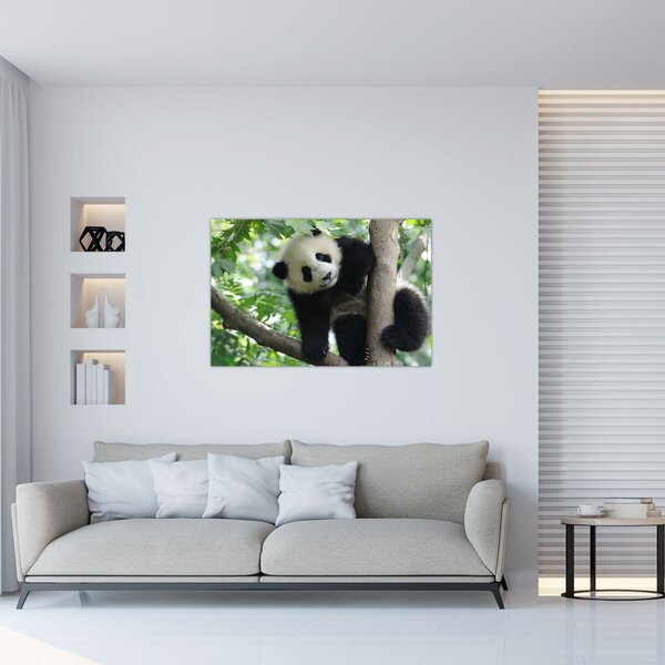 Slika - Panda na drvetu (90x60 cm)