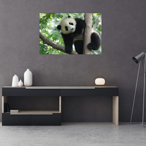 Slika - Panda na drvetu (90x60 cm)