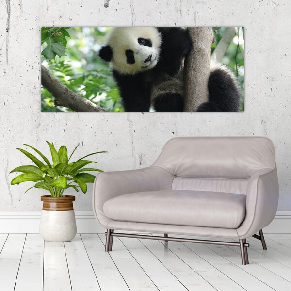 Slika - Panda na drvetu (120x50 cm)