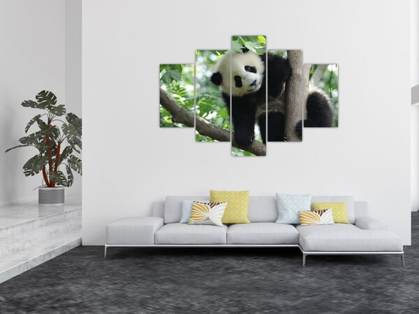 Slika - Panda na drvetu (150x105 cm)