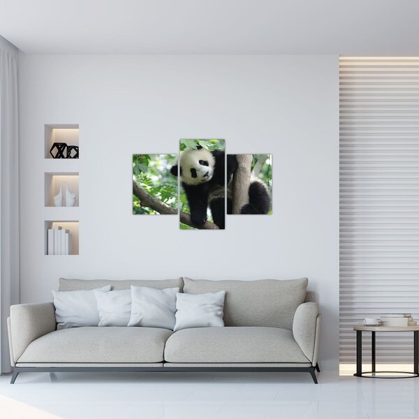 Slika - Panda na drvetu (90x60 cm)