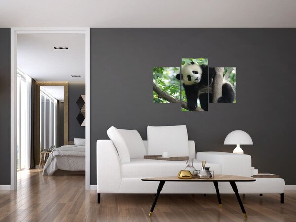 Slika - Panda na drvetu (90x60 cm)